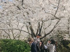 -中国茶叶博物馆(双峰馆区)