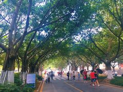 -厦门大学(思明校区)