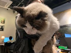 -咖法森林·咖啡  酒吧(天河店)