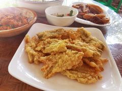 -晓雯人家