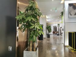 大厅-崇尚GAVIN STYLE臻选