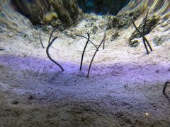 -鹿儿岛水族馆