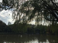 -瀛洲公园
