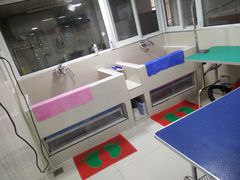 店内环境-帅帅宠物生活馆(三元路店)