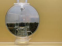 -喜茶(永旺梦乐城店)