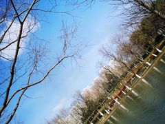 -白塘生态植物园