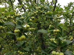 -南通洲际绿博园