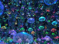 -上海梵高星空艺术馆(南京路旗舰店)