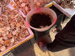 -南坛综合农贸市场