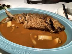 -阿五黄河大鲤鱼(英协路店)