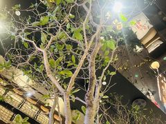 -桂满陇·海市蜃楼·黑金(国金店)