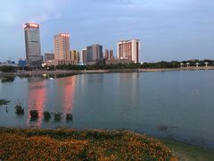 -映月湖中央公园