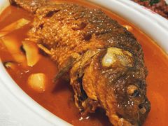 红烧黄河大鲤鱼-阿五黄河大鲤鱼(英协路店)