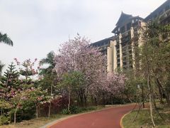 -清远熹乐谷温泉度假酒店