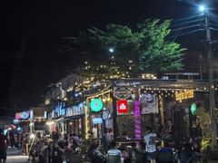 -席娜卡琳火车铁道夜市