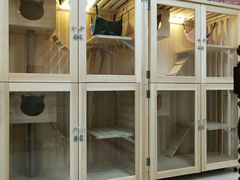 -多卡布奇宠物生活馆(上林世家店)