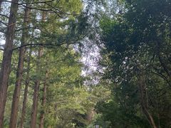 -敬亭山风景名胜区