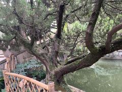 -上海醉白池公园