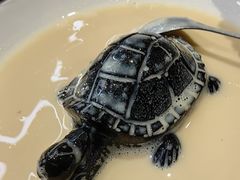 -南拳十三姨·潮汕砂锅粥·粤菜(西单大悦城店)