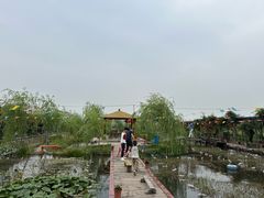 -同銮特种养殖场·龙虾垂钓