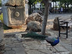 -安塔利亚博物馆