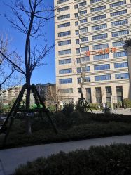 -河南中医药大学第一附属医院-医疗整形