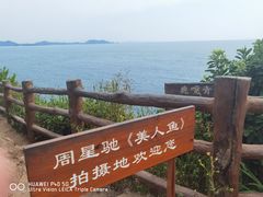 -杨梅坑