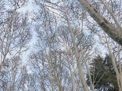 -必胜客(唐延店)