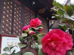 -成都市文殊院