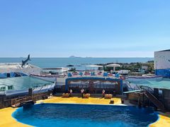 -海合安青岛极地海洋公园