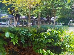 -黄龙带水库