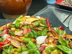 -蘑统田下·野生菌火锅