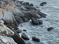 -广东惠东海龟国家级自然保护区
