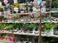 -MUJI无印良品(扬名广场2期店)