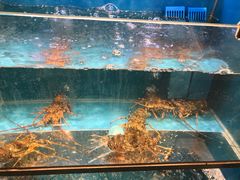 -盒马鲜生(宝地店)
