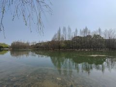 -曹杨影城(曹杨店)