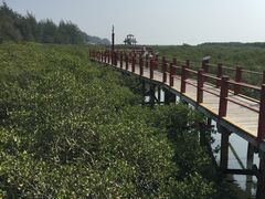 -北海金海湾红树林生态旅游区