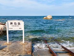 -养马岛旅游度假区