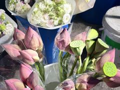 -循礼门鲜花花市(武汉循礼门店)