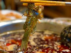 -肖肖酸萝卜鱼火锅(总店)
