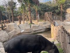 -上海野生动物园