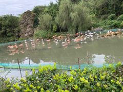 -宁波野生动物园