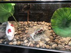 -干锅鱼庄(北京荟聚西红门购物中心店)