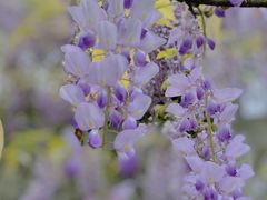 -花溪公园
