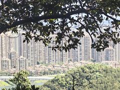 -云碧峰国家森林公园