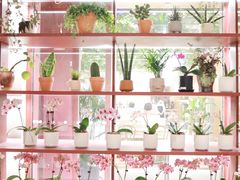 -二酉书店TOYOU BOOKS