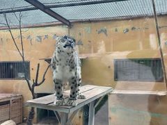 -青藏高原野生动物园