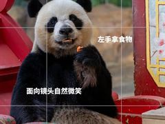 -广州长隆野生动物世界