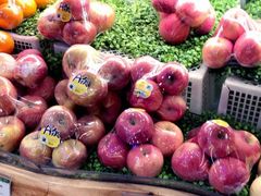 -百果园PAGODA(玄武成贤街店)