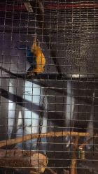 -酷嗒动物文化乐园(cutezoo西溪乐天城店)